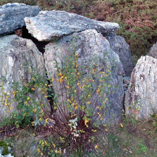 Allée couverte de Tréal