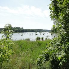 Rehmsee