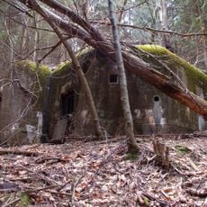 H-42/28/A-160 light pillbox