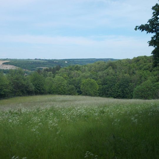 Saale-Ilm-Platten bei Bad Kösen
