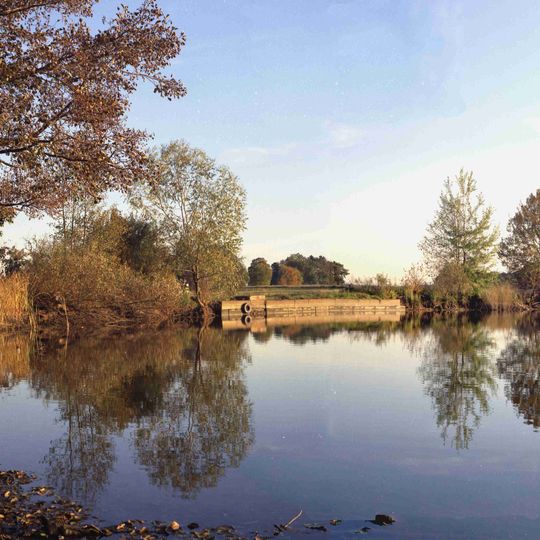 Tannenbusch und Teichlandschaft Groß Mehßow