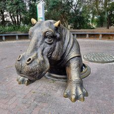 Rhinosaurus in the drain