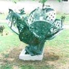 Flor de Cactus
