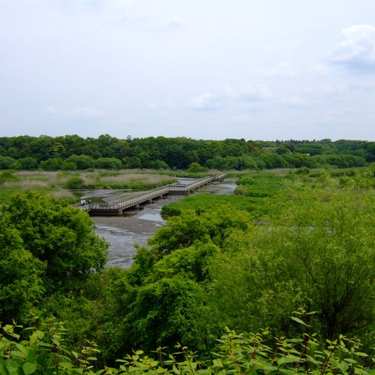 Sugao Marsh
