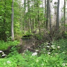 Nature reserve Jesionowe Góry