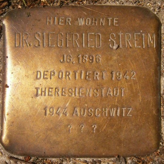 Stolperstein dedicated to Dr. Siegfried Streim