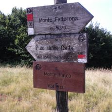 Monte Falco