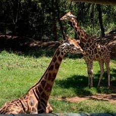 Museu de História Natural Zooparque Itatiba