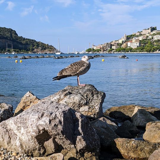 Spiaggia liberale delle Torezze