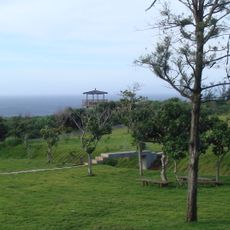 Sika deer ecological park