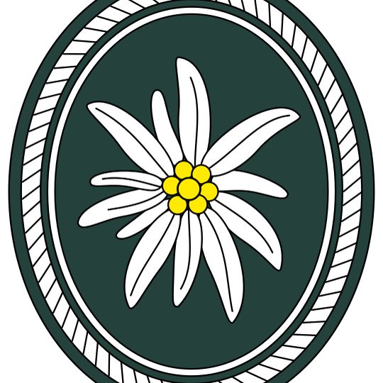 1st Mountain Division