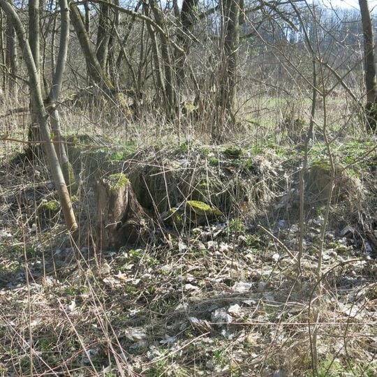 Ruina kaple v zaniklé vsi Horní Šebířov