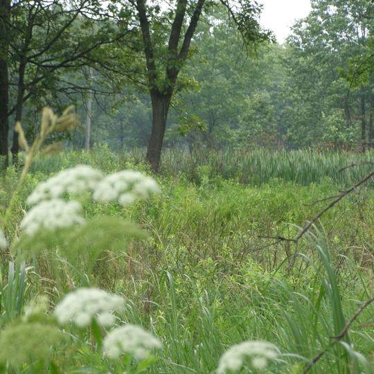 Hoosier Prairie State Nature Preserve