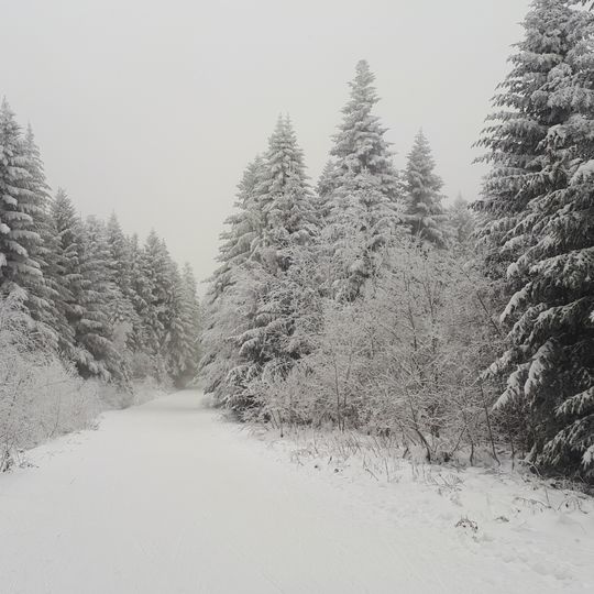 Domaine nordique du Meygal