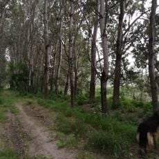 Po di Pieve Porto Morone