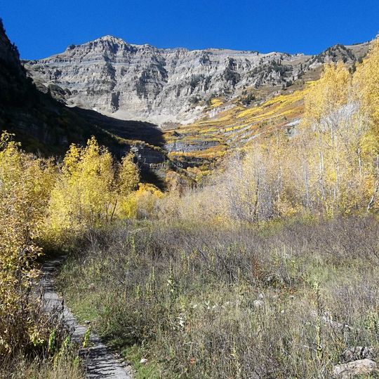 Mount Timpanogos Trail