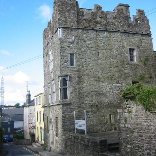 Desmond Castle