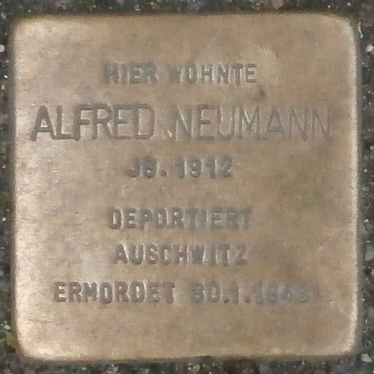Stolperstein en memoria de Alfred Neumann