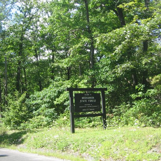 Moshannon State Forest