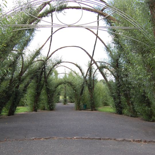 Weidenburg – Arena Salix