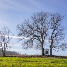 Výklenková kaplička u Kalubic