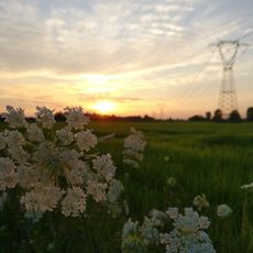 Oasi di Lacchiarella