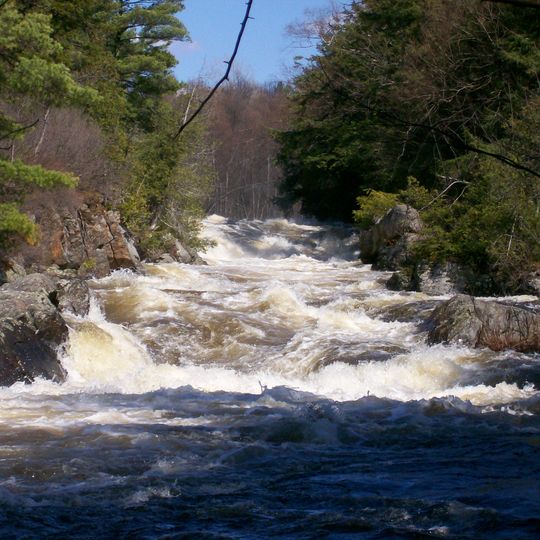 Contea di St. Lawrence