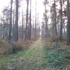 Kapucijnenbos