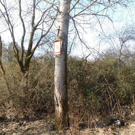 7. zastavení křížové cesty Ondřejov - Kaliště