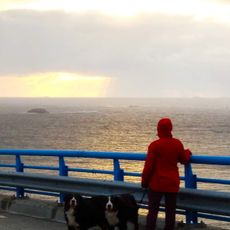 Tjønnøybrua