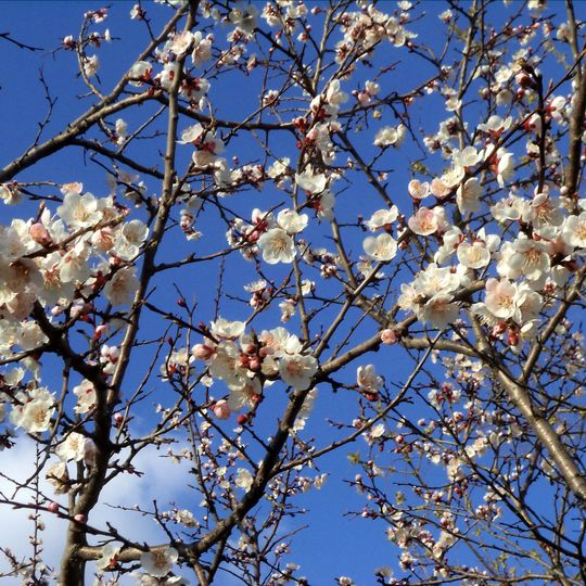Lukashov Nature Park