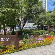 Yuseong Spa Foot Bath