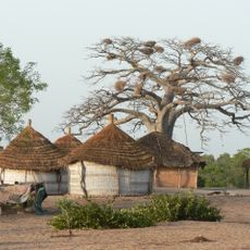 L’Aire Marine Protégée du Bamboung