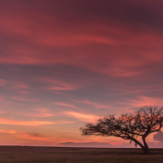 Parco nazionale di Eshkol
