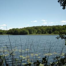 Entensee