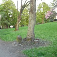 Femlinde in den Barmer Anlagen