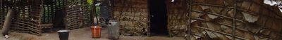 Panoramic View 0