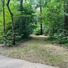 Chemin de la Micheronne