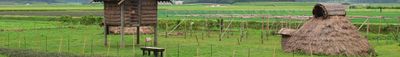 Vista panoramica 1