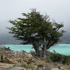 Parque Nacional Perito Moreno
