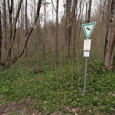 Laubmischwald am Hetzleser Berg