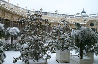 Winter 2