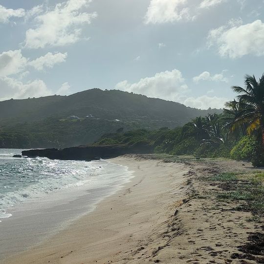 Plage de la Petite Anse Macabou