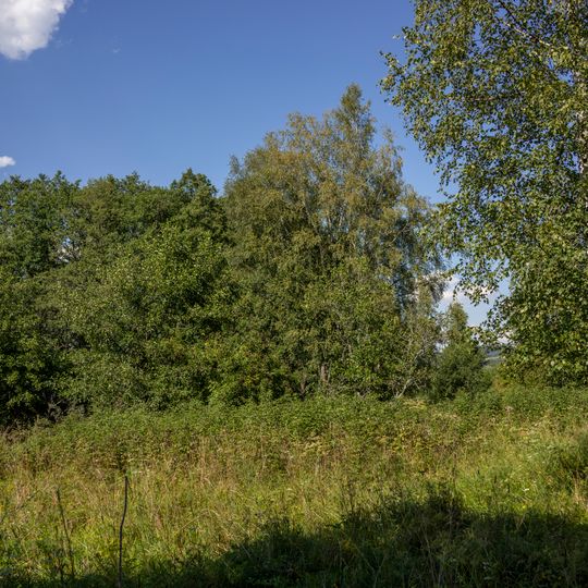 Rašeliniště Borková