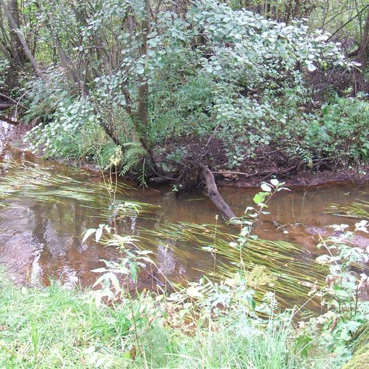 Парк с гидросистемой