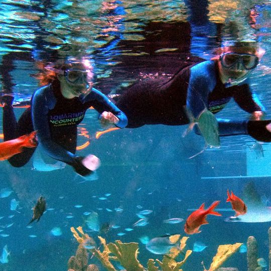 Florida KeysAquarium Encounters