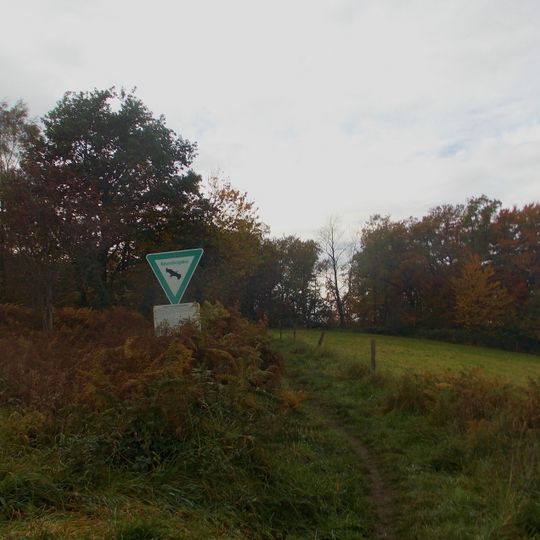 NSG Fuchslochbachtal / Siepener Bachtal <B>