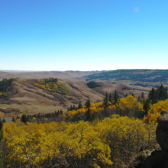 Cypress Hills