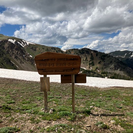 Never Summer Wilderness