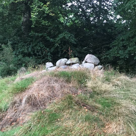 Dalgaards Østerhøj